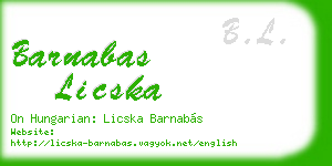 barnabas licska business card