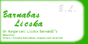 barnabas licska business card